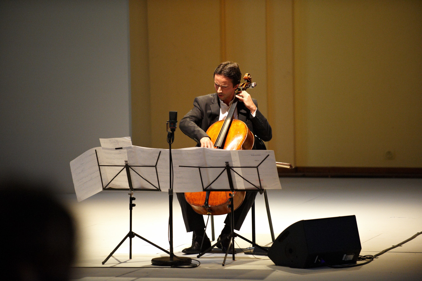 N° 07 Jean-Guihen Queyras © Philippe Stirnweiss