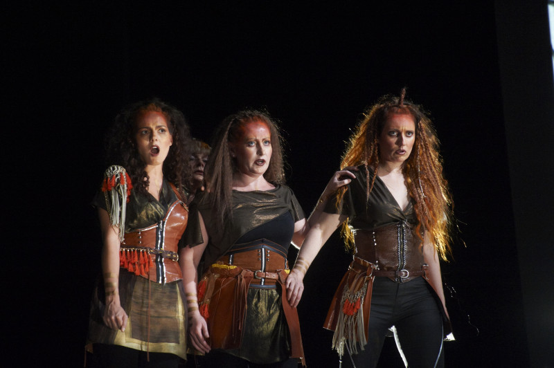 Ring Saga - La Walkyrie © Philippe Stirnweiss