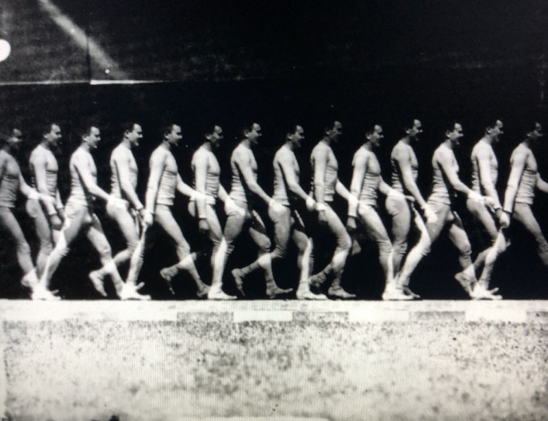 Walk the walk