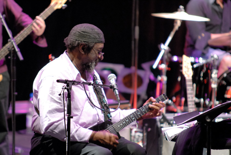 James Blood Ulmer © Philippe Stirnweiss
