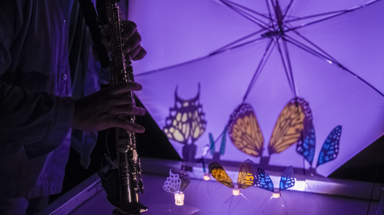 formation Machines à liberté&nbsp;: création de paysages sonores et visuels