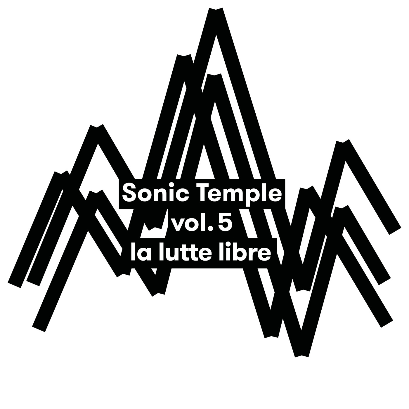 Sonic Temple #5