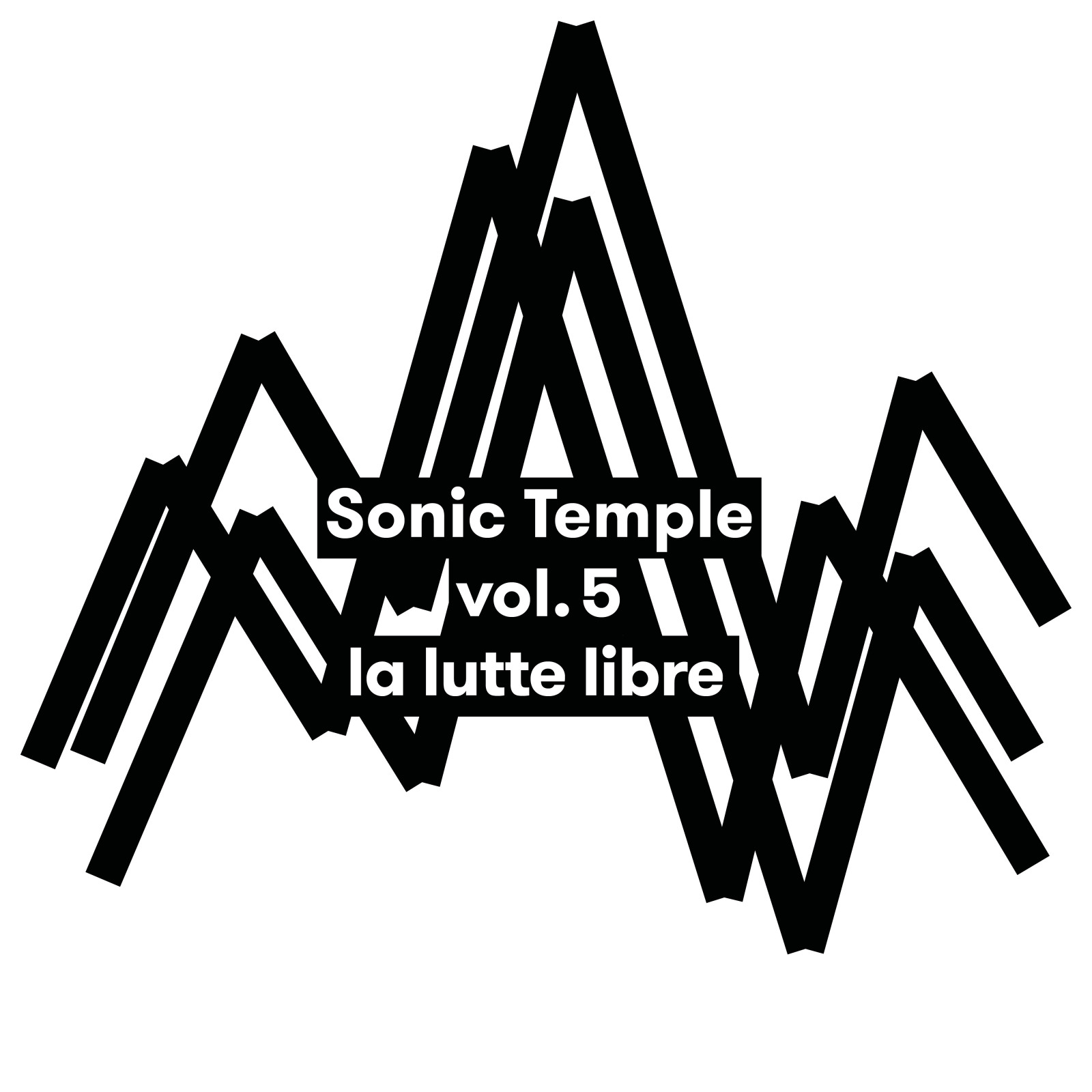 Sonic Temple #5