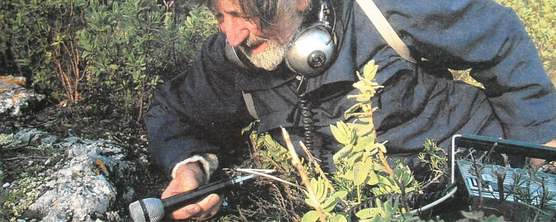 Knud Viktor