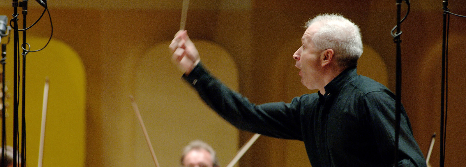 Orchestre symphonique du SWR Baden-Baden / Fribourg
