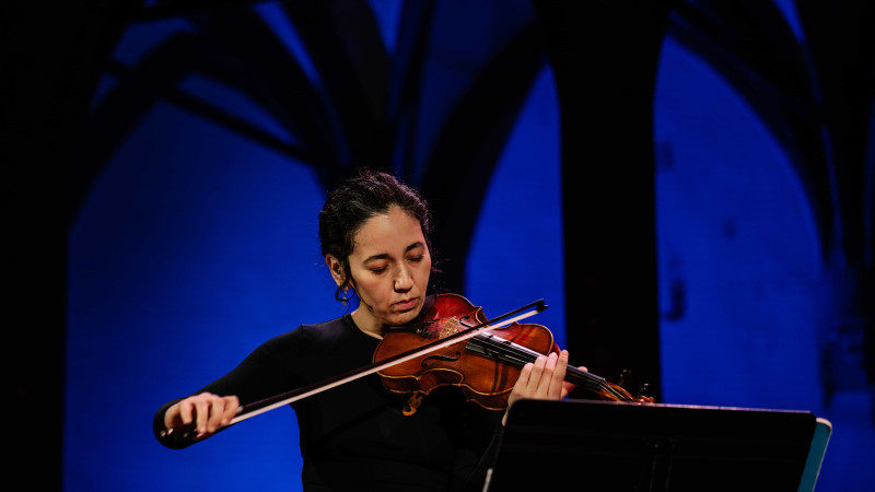 Violon pour violon © Thaïs Breton