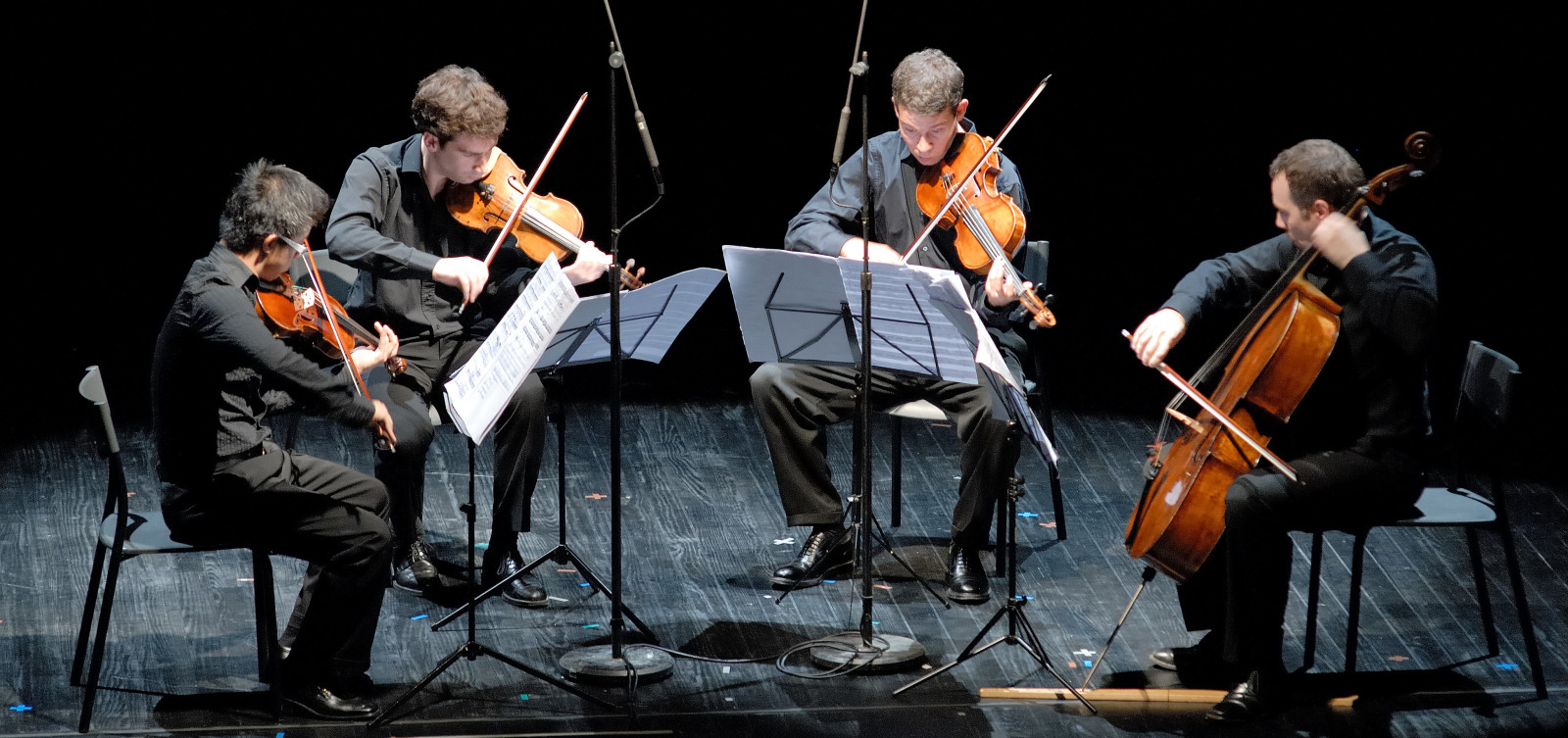 Quatuor Diotima