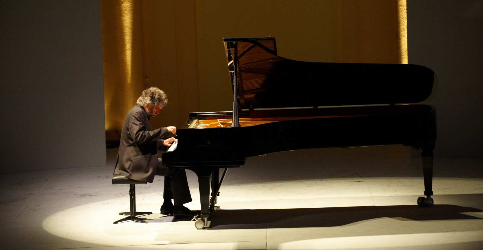 François-Frédéric Guy, piano