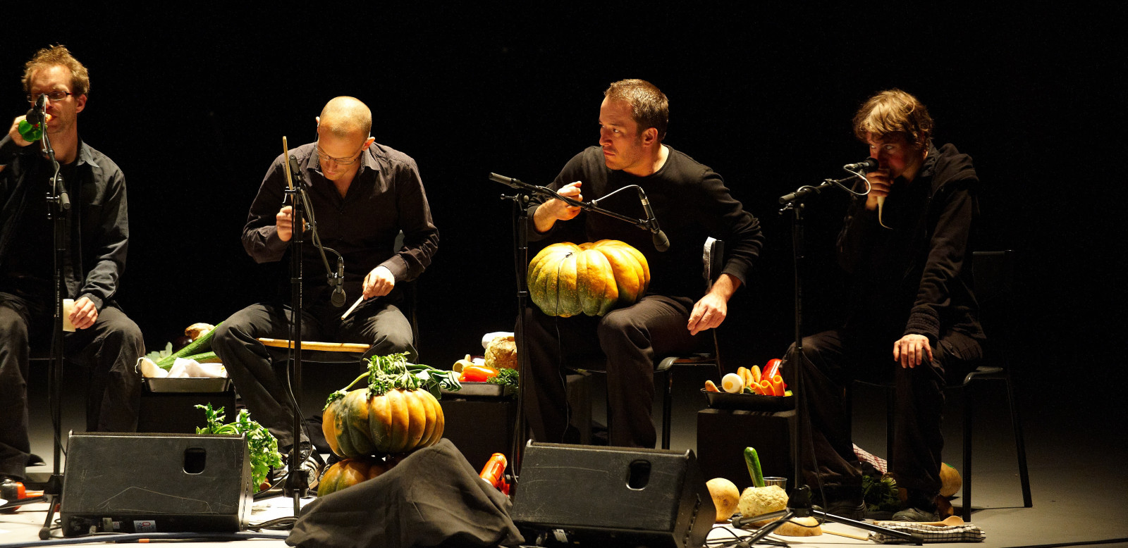 Vienna Vegetable Orchestra